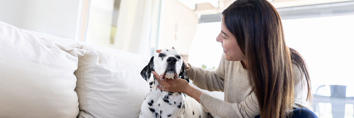 Missouri Pet Insurance Coverage